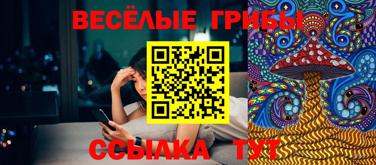 что такое наркотик  Вход с VPN  Люберцы  Псилоцибиновые грибы мухоморы 